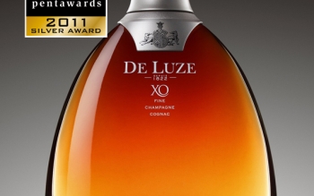 PENTAWARDS SILVER 2011 DELUZE XO 